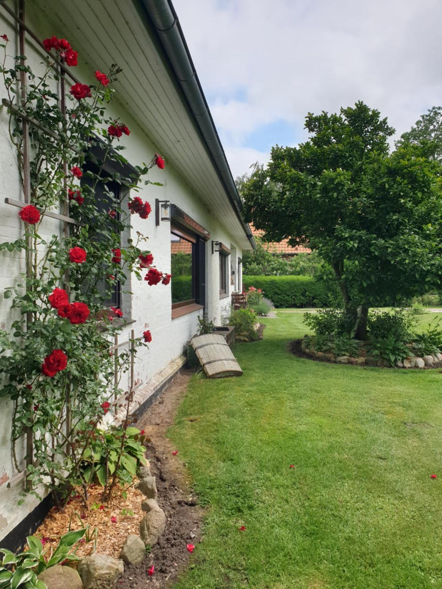 Ferienwohnung Osteblick Oberndorf  Exterior foto